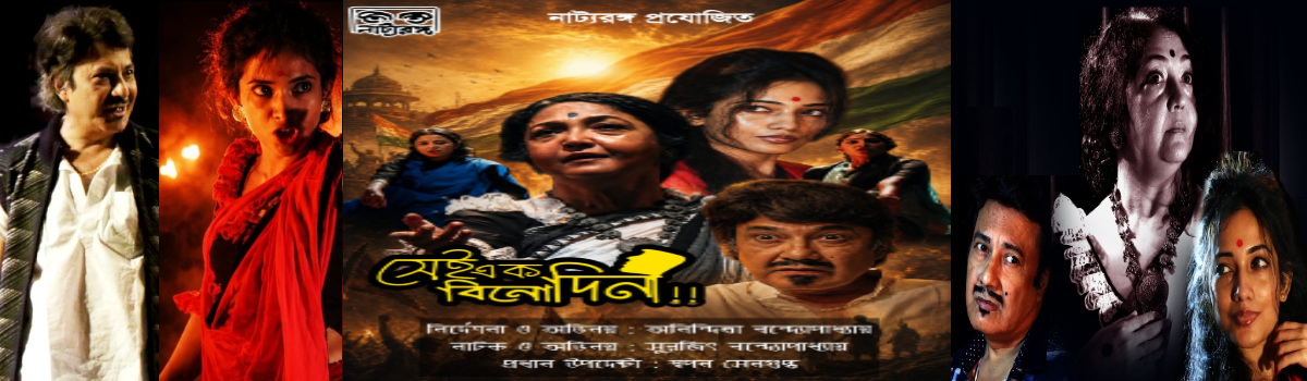 সেই এক বিনোদিনী